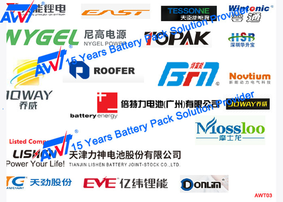 12 εσωτερικός ελεγκτής 18650 AC220V/50HZ 1KW αντίστασης μπαταριών βαθμών